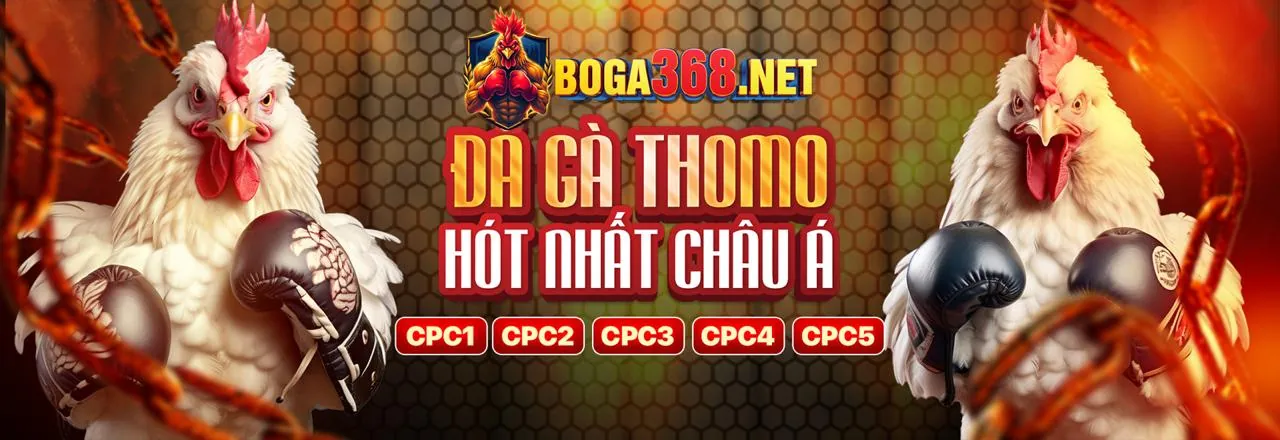 Ứng dụng MCW67 nhà cái trên điện thoại di động